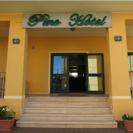 Pino 3*